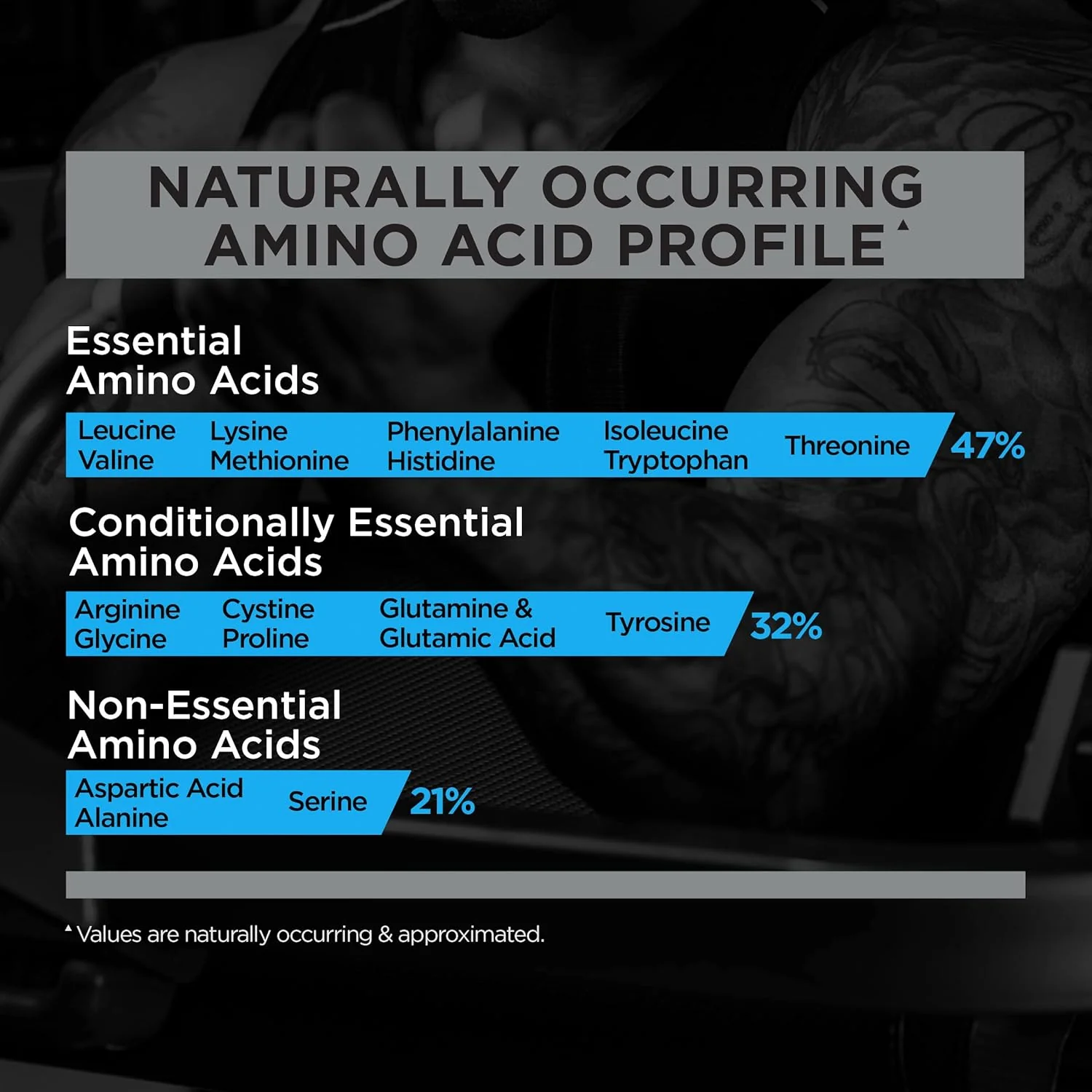 Rule 1 R1 Whey Blend - Image 31